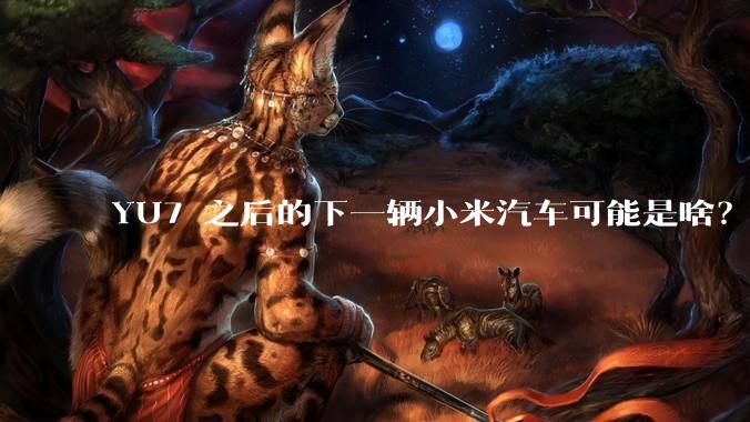 YU7 之后的下一辆小米汽车可能是啥？小米会把所有车型做一遍吗？