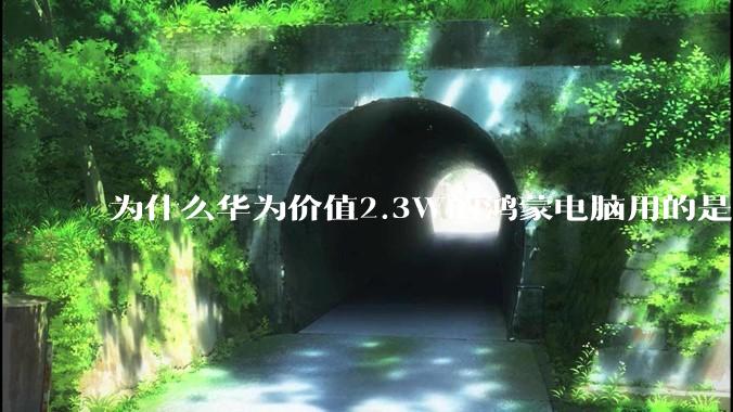 为什么华为价值2.3W的鸿蒙电脑用的是美国西数的SN740固态硬盘？