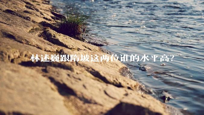 林述巍跟隋坡这两位谁的水平高？