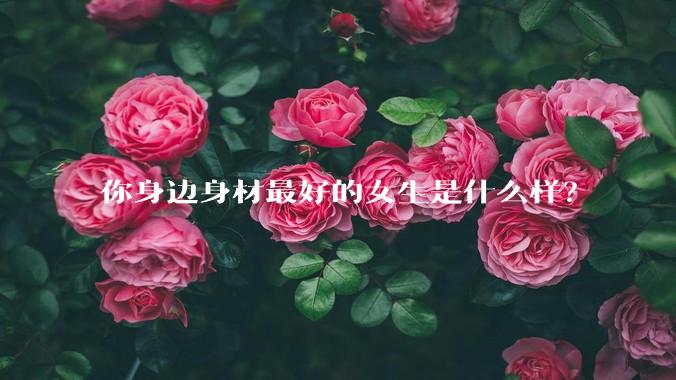 你身边身材最好的女生是什么样？