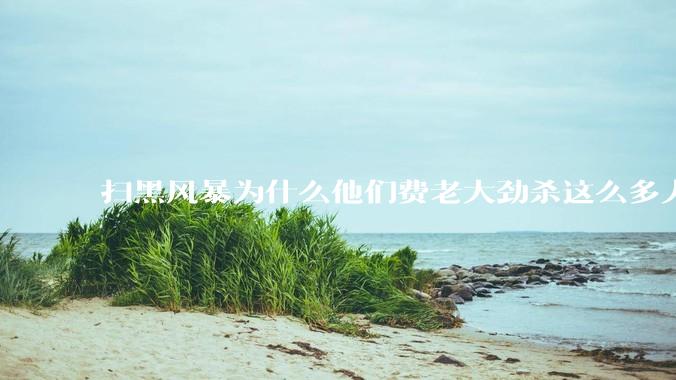 扫黑风暴为什么他们费老大劲杀这么多人不如直接把督导组干掉？